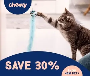cat play save 30 chewy shop now