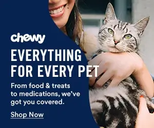 chewy everything for every pet