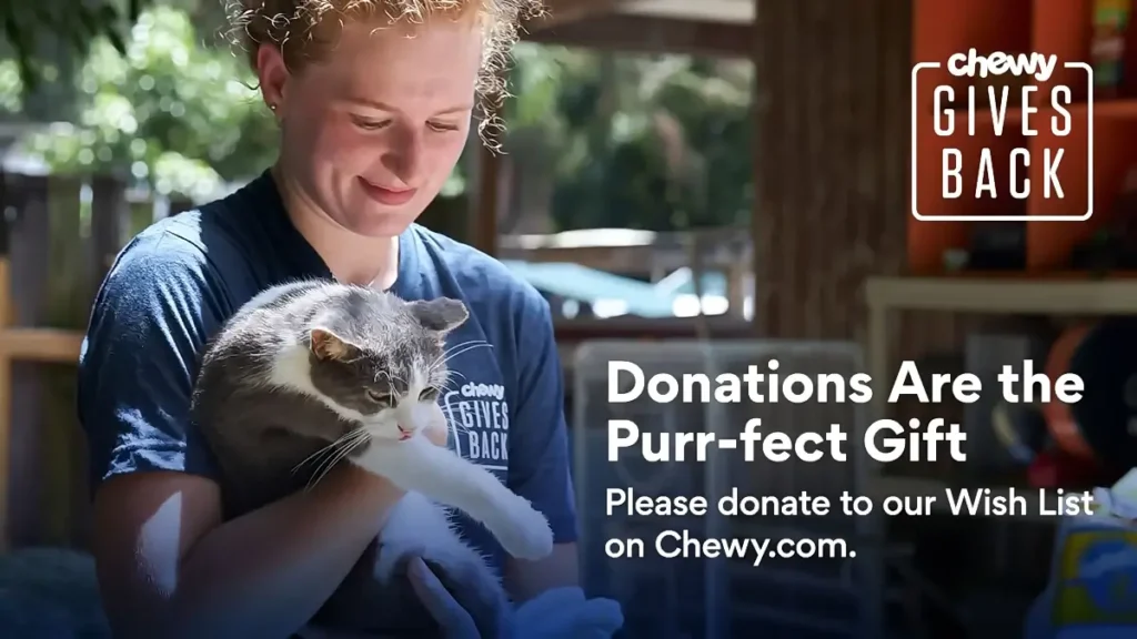 donations are the purr fect gift