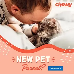 new pet parent shop now