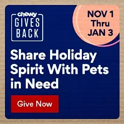 share holiday spirit with pets in need