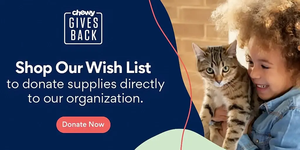 shop our wish list now