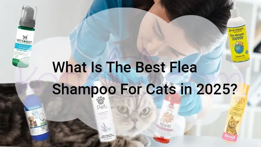 Photo inspiration: Best Flea Shampoo For Cats Coupon Reference: What Is The Best Flea Shampoo For Cats In 2025