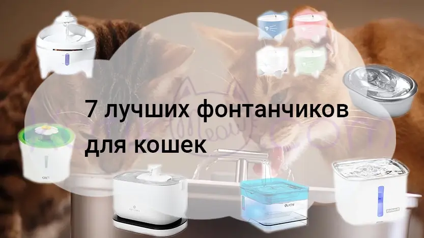 питьевой фонтанчик для кошки